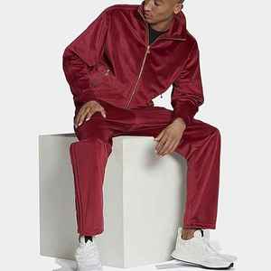 Conjunto Deportivo de Dos Piezas de Terciopelo Suave de Lujo, Ligero, Talla Regular, Cálido, para Invierno, Moda Casual, Fitness - Product Image 3