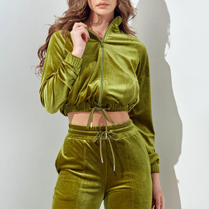 Vêtements de sport personnalisés à manches longues pour femmes, ensemble de jogging ajusté, survêtement à capuche en velours tendance - Product Image 3