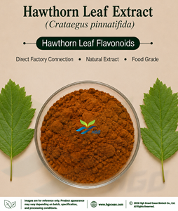 HGO Suministro directo de fábrica Extracto de hoja de espino natural puro (Crataegus pinnatifida) (grado alimenticio) Flavonoides de hoja de espino 5% - Product Image 1