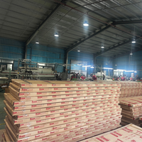 Portes Composites Modernes en WPC Dewoo, Matériau PVC, Étanches, Modèles Variés pour Usage Domestique, Expérience de Fabrication de Pointe au Vietnam