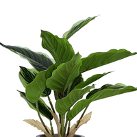 Plante artificielle de bonsaï réaliste résistante aux UV, en matériau TPE, pour la décoration de table intérieure
