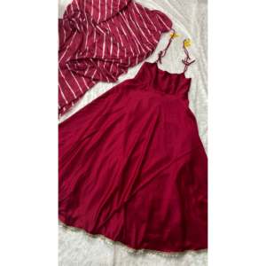 Belle robe de soirée fantaisie Border Work pour les fêtes - Product Image 1