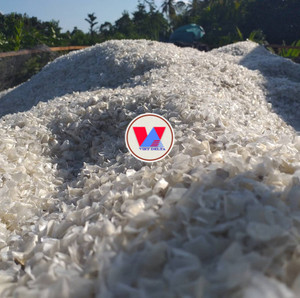 Meilleur prix pour les écailles de poisson en gros, approvisionnement en vrac du Vietnam 2026 - Product Image 4