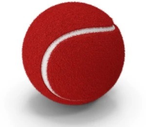 Top Grade Cricket Tennis <b>Ball</b> Durable Rubber High Performance <b>Bounce</b> Training Practice Cricket <b>Ball</b> - Product Image 3