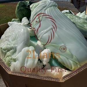 เม็ดพลาสติก PP/PE รีไซเคิล เกรดสำหรับฉีดขึ้นรูป สีผสมจากสหรัฐอเมริกา ยี่ห้อ 2Lians บรรจุในถุงจัมโบ้ - Product Image 2