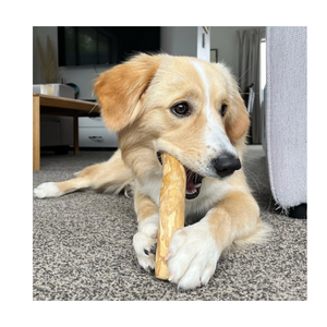 Offre Flash : Bâton à Mâcher pour Chien en Bois de Café, Jouet à Mâcher Naturel en Bois Robuste pour Animaux de Compagnie - Product Image 2