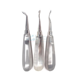 เครื่องมือถอนรากฟันสแตนเลสแบบมืออาชีพ ลดราคาพิเศษ ได้รับการรับรองมาตรฐาน CE ด้ามจับตามหลักสรีรศาสตร์ ใช้ซ้ำได้ - Product Image 4