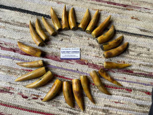 ปลายเผาขัดเขาควายธรรมชาติเป็นมิตรต่อสิ่งแวดล้อม - Product Image 6