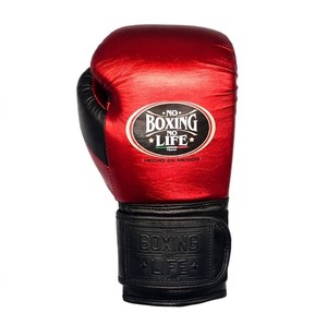Gants de boxe RTS, meilleur prix, qualité supérieure, No Boxing No Life, en cuir PU, antidérapants, pour combats de boxe, AS-BG-5064 - Product Image 4