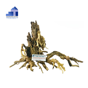 2025 producto superior ecológico manglar madera bonsái Driftwood bonsái árbol para decoraciones de acuario de Vietnam para mayoristas - Product Image 2