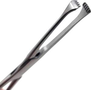 คีมจับเนื้อเยื่อขนาดเล็ก Allis คุณภาพระดับมืออาชีพ 5 นิ้ว ทำจากเหล็กกล้าไร้สนิม สำหรับการผ่าตัดและการทำแผล - Product Image 2