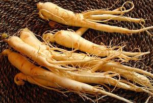Ngoc Linh Ginseng de alta calidad con un contenido superior de saponina-OEM disponible en Vietnam - Product Image 6