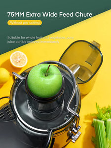 Easy to Clean Stainless Steel Vegetables and <strong>Fruits</strong> <strong>Juicers</strong> for Sale with <strong>Best</strong> Price in the Market