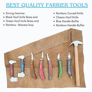 Kit de herramientas para herrador con martillo, cortador de doble punta, cuchilla D, cuchillo para pezuñas, bucle para abscesos Rainbow y dos cuchillos para pezuñas con extremo de latón - Product Image 2