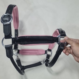 Premium Quality Durable Adjustable English Style Horse Riding Halter Genuine Leather Customizable for English Saddle AL RAHEEM - Product Image 1