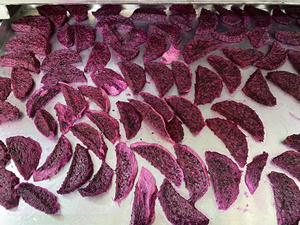 1 kg de Fruta del Dragón Deshidratada en Rodajas, 100% Natural, de Vietnam, a Granel, envasada al Vacío, Marca Privada - Product Image 2