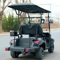 Nouvelle voiturette utilitaire électrique à deux places, homologuée pour la route, chariot de golf, bus et voiture de tourisme