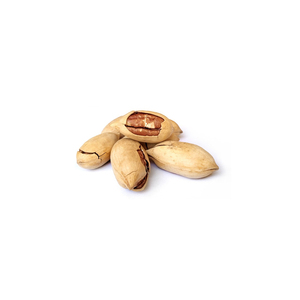 Vente directe d'usine de pignons de pin d'Afghanistan naturels, prêts à l'emploi, pour l'importation - Product Image 5