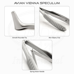 Spéculum cloacal Avian Vienna à double ressort en acier inoxydable, 4,75 pouces, pour petits mammifères, spéculum oral pour petits animaux - Product Image 5