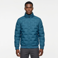 Veste à capuche bleue pour homme, imperméable, coupe-vent, décontractée, d'hiver, rembourrée de duvet, fourrure, coupe classique