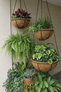 Pot de culture en fibre de coco biologique – Jardinière écologique pour semis, idéale pour la maison, le jardin et les applications en pépinière - Product Image 5
