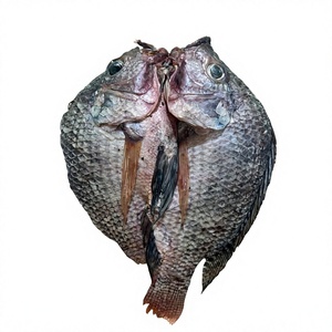VAN BACH TUNG VN Giang Tilapia Seca, Alta en Proteínas, Saludable, Envasada al Vacío, Premium, 100% Natural, Filete de Pescado Entero, +12 Meses - Product Image 1