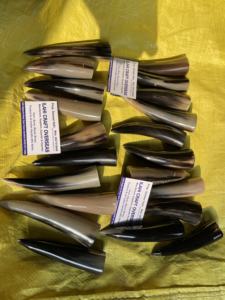 Punta de Cuerno de Búfalo Natural, Color Natural, Alta Calidad - Product Image 4