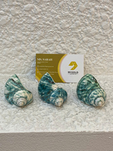 Anillo para Servilletas con Temática Oceánica, Decoración para Mesa de Banquete de Hotel, Porta Servilletas Hecho a Mano en Vietnam con Diseño de Caracol y Concha - Product Image 4