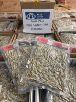 Anchois du Vietnam approuvés par les clients pour la fabrication de soupes et la production de snacks, qualité supérieure, vente en gros, exportation, approvisionnement 2026