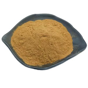 Extracto de Cebada en Polvo Premium 10:1, Extracto Puro de Cebada Malteada, Ingrediente Natural a Base de Plantas, Polvo de Grado Alimenticio a Granel - Product Image 1
