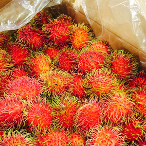 รับรองมาตรฐาน HACCP/ISO ผู้ผลิต OEM รับผลิตแบรนด์ส่วนตัว ผลิตภัณฑ์คุณภาพสูง รับส่งออกจำนวนมาก รับประกันคุณภาพ ผลไม้แช่แข็ง รัมปูตัน คุณภาพพรีเมียม ผลิตจากเวียดนาม แบบ IQF - Product Image 3