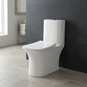 WC monobloc de style classique en céramique indienne, à double chasse, à prix abordable, pour salles de bain modernes - Product Image 6