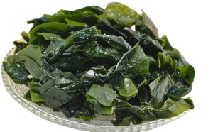 Algas marinas secas al por mayor <span class=keywords><strong>Gelidium</strong></span> algas secas kelp kont - Product Image 4