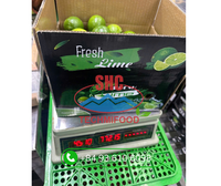 Citrons frais sans pépins de qualité supérieure exportés du Vietnam pour les marchés mondiaux Longue durée de conservation Goût juteux Approvisionnement en gros en vrac