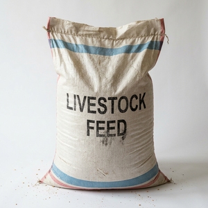 Aliments pour bétail pour une croissance animale saine et une nutrition équilibrée – Approvisionnement en vrac pour les fermes, les commerçants et les acheteurs mondiaux - Product Image 6