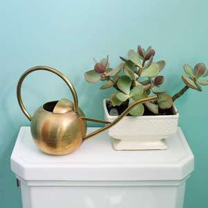 Petite arrosoir en laiton de style vintage pour plantes d'intérieur, pot d'arrosage pour la maison et le jardin - Product Image 4