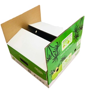 Boîte en carton ondulé à revêtement UV à 2 faces, étanche, sans danger pour les aliments, noix de coco du Vietnam, matériaux agricoles recyclés - Product Image 1