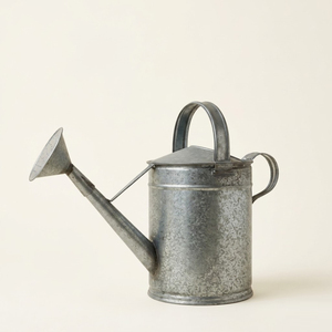 Vintage Classic Style Decorative Metal Watering Can Rustproof Powder Coated Finish For Farmhouse Indoor & Outdoor <b>Garden</b> Decor - Product Image 5