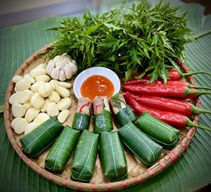 เนื้อหมูหมักเวียดนามแช่แข็ง (เน็มชัว) – ผู้จัดจำหน่ายขนมขบเคี้ยวแบบดั้งเดิมพร้อมรับประทานจากเวียดนาม - Product Image 4