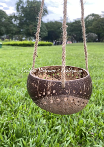 กระถางปลูกมะพร้าว/กะลามะพร้าวทำจากกะลามะพร้าวธรรมชาติสามารถแขวนกลางแจ้งได้ด้วยการ Eco2go แบบเวียดนาม - Product Image 3