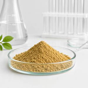 Extracto de Achyranthes Aspera en Polvo a Granel de Fábrica, Extracto Herbal Estandarizado para Formulaciones Ayurvédicas OEM ODM - Product Image 5