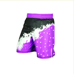 Shorts de boxe Muay Thai pour hommes de haute qualité, shorts de kick-boxing, vente en gros, logo et style personnalisés OEM, vêtements d'entraînement - Product Image 5