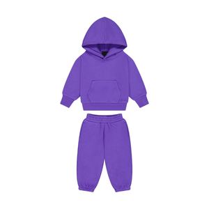 Sudadera con Capucha para Niños al por Mayor de Fábrica, Conjunto Deportivo Personalizado para Bebés, Ropa de Moda Premium, Sudadera Cómoda para Niños - Product Image 5
