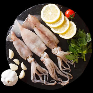 Calamar frais idéal pour la grillade, la friture et les plats de fruits de mer - Product Image 5