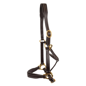Licol en cuir de compétition avec boucles en laiton, réglable, pour la présentation, le toilettage, la manutention en écurie et l'usage quotidien - Product Image 3