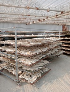 Hueso de Sepia Seco de Alta Pureza para la Industria de la Nutrición Animal - Product Image 2