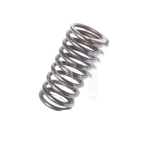 Resorte de Válvula de Motor 253405158701, Compatible con Camiones Tata, Repuestos de Motor Diésel de Alta Calidad - Product Image 1