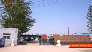 Moustiquaire en fibre de verre 18x16 mailles pour portes et fenêtres, sur mesure, anti-insectes, pour la vente en gros - Product Image 6