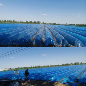 High Strength Pultruded Solid Fiberglass <b>Rod</b> Tomato Plant Support Stake for Plantation Farm Fence Post - Product Image 3