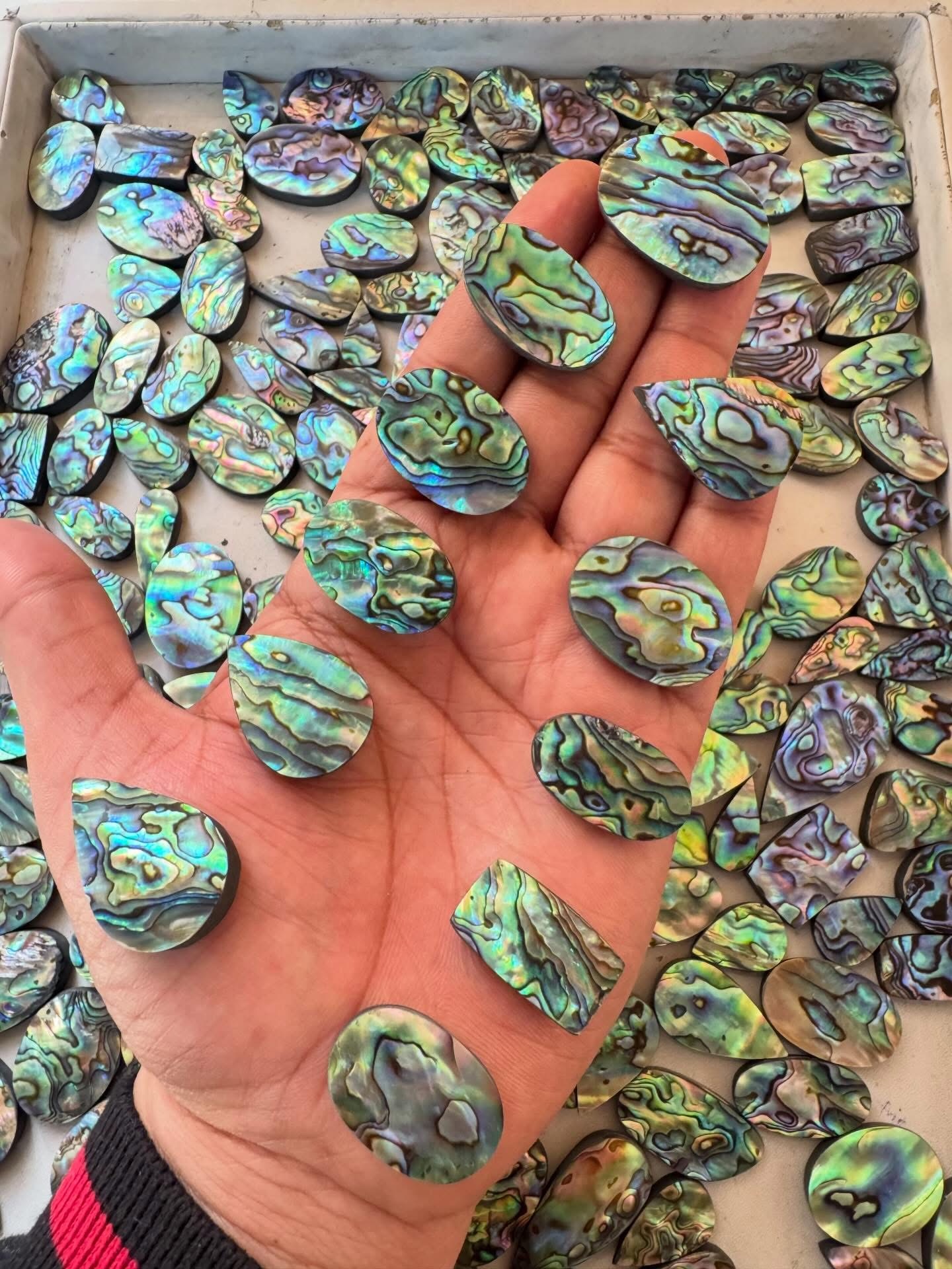 Comme on le voit sur la photo